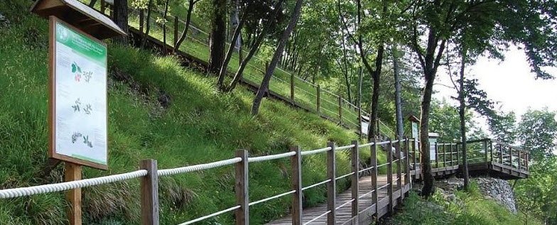 Orto Botanico delle Alpi Apuane "Pietro Pellegrini", Italy